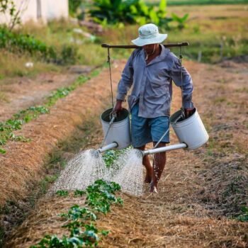 Lista de Documentos para Aposentadoria Rural: Tudo o que Você Precisa Saber